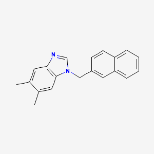 molecular formula C20H18N2 B3632613 5,6-DIMETHYL-1-(2-NAPHTHYLMETHYL)-1H-1,3-BENZIMIDAZOLE 