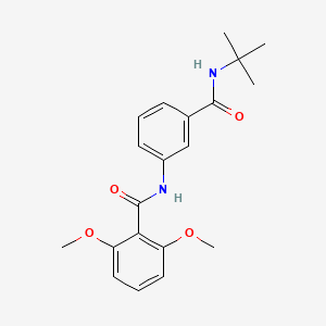 molecular formula C20H24N2O4 B3637389 N-[3-(tert-butylcarbamoyl)phenyl]-2,6-dimethoxybenzamide 