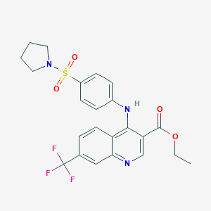 molecular formula C23H22F3N3O4S B363888 Ethyl 4-[4-(1-pyrrolidinylsulfonyl)anilino]-7-(trifluoromethyl)-3-quinolinecarboxylate CAS No. 881942-01-4
