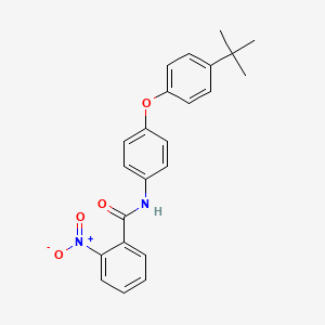 molecular formula C23H22N2O4 B3639246 N-[4-(4-tert-butylphenoxy)phenyl]-2-nitrobenzamide 