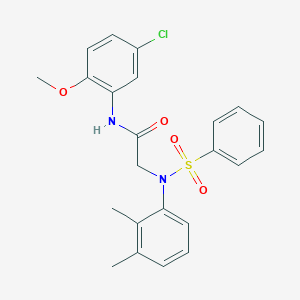 N~1~-(5-chloro-2-methoxyphenyl)-N~2~-(2,3-dimethylphenyl)-N~2~-(phenylsulfonyl)glycinamide