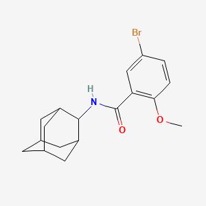 N-2-adamantyl-5-bromo-2-methoxybenzamide