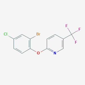 2-(2-bromo-4-chlorophenoxy)-5-(trifluoromethyl)pyridine