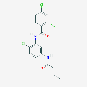 N-[5-(butyrylamino)-2-chlorophenyl]-2,4-dichlorobenzamide