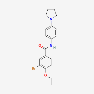 3-bromo-4-ethoxy-N-[4-(pyrrolidin-1-yl)phenyl]benzamide