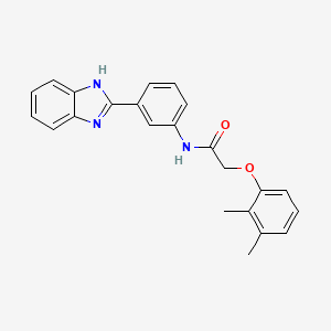 N-[3-(1H-benzimidazol-2-yl)phenyl]-2-(2,3-dimethylphenoxy)acetamide