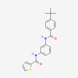 N-{3-[(4-tert-butylbenzoyl)amino]phenyl}-2-thiophenecarboxamide