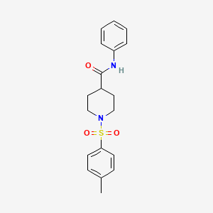 1-(4-Methylbenzenesulfonyl)-N-phenylpiperidine-4-carboxamide