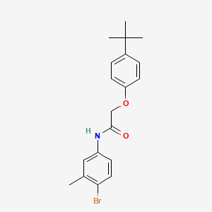 N-(4-bromo-3-methylphenyl)-2-(4-tert-butylphenoxy)acetamide