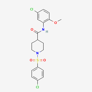 N-(5-chloro-2-methoxyphenyl)-1-[(4-chlorophenyl)sulfonyl]piperidine-4-carboxamide