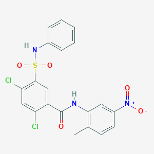 5-(anilinosulfonyl)-2,4-dichloro-N-(2-methyl-5-nitrophenyl)benzamide