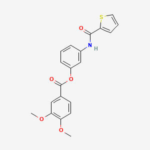 molecular formula C20H17NO5S B3665223 [3-(Thiophene-2-carbonylamino)phenyl] 3,4-dimethoxybenzoate 