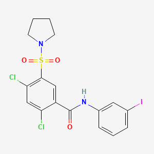 2,4-dichloro-N-(3-iodophenyl)-5-pyrrolidin-1-ylsulfonylbenzamide