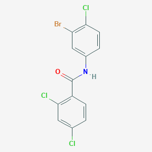 N-(3-bromo-4-chlorophenyl)-2,4-dichlorobenzamide