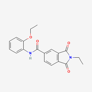 molecular formula C19H18N2O4 B3666964 N-(2-ethoxyphenyl)-2-ethyl-1,3-dioxo-5-isoindolinecarboxamide 