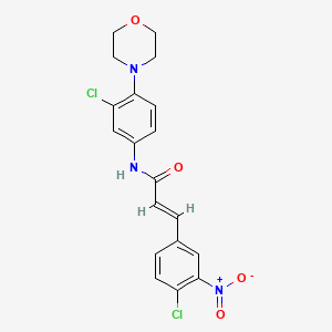 molecular formula C19H17Cl2N3O4 B3667428 (2E)-N-[3-chloro-4-(morpholin-4-yl)phenyl]-3-(4-chloro-3-nitrophenyl)prop-2-enamide 