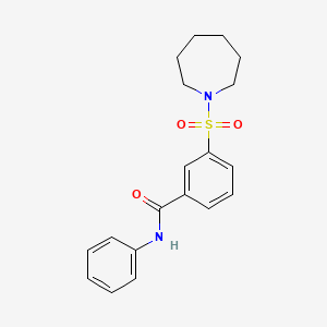 3-(1-azepanylsulfonyl)-N-phenylbenzamide