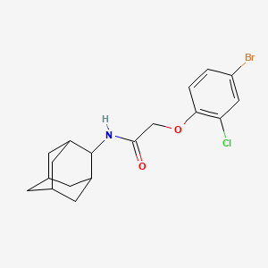 molecular formula C18H21BrClNO2 B3673138 N-2-adamantyl-2-(4-bromo-2-chlorophenoxy)acetamide 