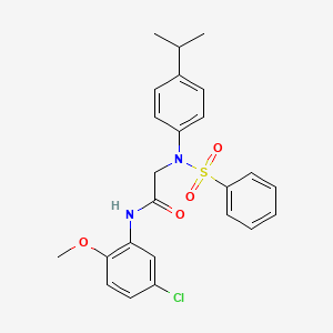 molecular formula C24H25ClN2O4S B3680616 N~1~-(5-chloro-2-methoxyphenyl)-N~2~-(4-isopropylphenyl)-N~2~-(phenylsulfonyl)glycinamide 