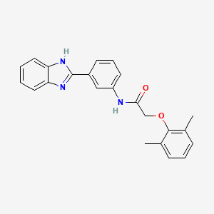 molecular formula C23H21N3O2 B3681174 N-[3-(1H-benzimidazol-2-yl)phenyl]-2-(2,6-dimethylphenoxy)acetamide 