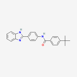 N-[4-(1H-1,3-BENZODIAZOL-2-YL)PHENYL]-4-TERT-BUTYLBENZAMIDE