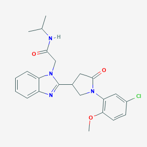 molecular formula C23H25ClN4O3 B368548 2-{2-[1-(5-chloro-2-methoxyphenyl)-5-oxopyrrolidin-3-yl]benzimidazolyl}-N-(met hylethyl)acetamide CAS No. 942884-44-8