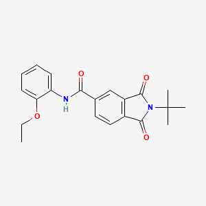 2-tert-butyl-N-(2-ethoxyphenyl)-1,3-dioxo-5-isoindolinecarboxamide