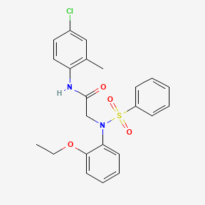 molecular formula C23H23ClN2O4S B3693941 N~1~-(4-chloro-2-methylphenyl)-N~2~-(2-ethoxyphenyl)-N~2~-(phenylsulfonyl)glycinamide 