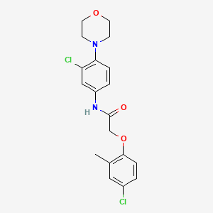 molecular formula C19H20Cl2N2O3 B3696435 2-(4-chloro-2-methylphenoxy)-N-[3-chloro-4-(4-morpholinyl)phenyl]acetamide 