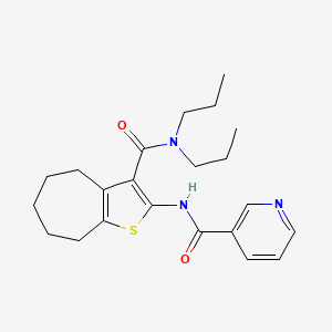 N-[3-(dipropylcarbamoyl)-5,6,7,8-tetrahydro-4H-cyclohepta[b]thiophen-2-yl]pyridine-3-carboxamide