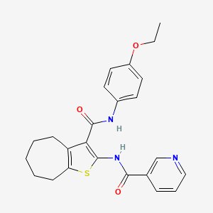 N-(3-{[(4-ethoxyphenyl)amino]carbonyl}-5,6,7,8-tetrahydro-4H-cyclohepta[b]thien-2-yl)nicotinamide