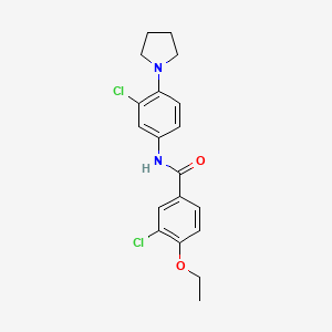 molecular formula C19H20Cl2N2O2 B3700191 3-chloro-N-[3-chloro-4-(pyrrolidin-1-yl)phenyl]-4-ethoxybenzamide 