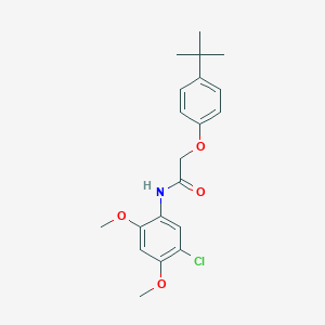 molecular formula C20H24ClNO4 B3701522 2-(4-tert-butylphenoxy)-N-(5-chloro-2,4-dimethoxyphenyl)acetamide 