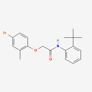 molecular formula C19H22BrNO2 B3703430 2-(4-bromo-2-methylphenoxy)-N-(2-tert-butylphenyl)acetamide 