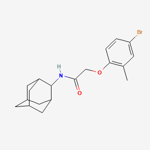 molecular formula C19H24BrNO2 B3703542 2-(4-bromo-2-methylphenoxy)-N-(tricyclo[3.3.1.1~3,7~]dec-2-yl)acetamide 