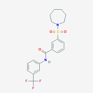 3-(1-azepanylsulfonyl)-N-[3-(trifluoromethyl)phenyl]benzamide