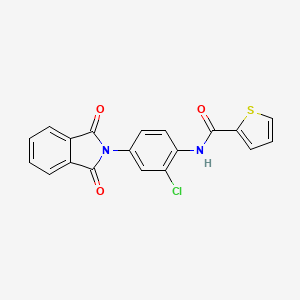 molecular formula C19H11ClN2O3S B3707147 N-[2-chloro-4-(1,3-dioxoisoindol-2-yl)phenyl]thiophene-2-carboxamide 