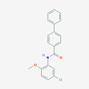 molecular formula C20H16ClNO2 B370724 N-(5-chloro-2-methoxyphenyl)biphenyl-4-carboxamide 