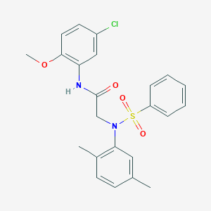 2-[N-(benzenesulfonyl)-2,5-dimethylanilino]-N-(5-chloro-2-methoxyphenyl)acetamide