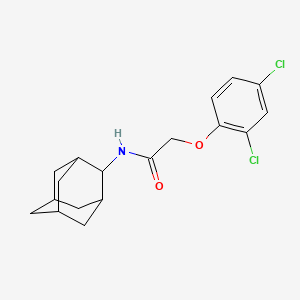 N-(2-adamantyl)-2-(2,4-dichlorophenoxy)acetamide