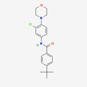 4-tert-butyl-N-[3-chloro-4-(morpholin-4-yl)phenyl]benzamide