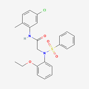 molecular formula C23H23ClN2O4S B3712471 N-(5-chloro-2-methylphenyl)-N~2~-(2-ethoxyphenyl)-N~2~-(phenylsulfonyl)glycinamide 