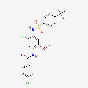 molecular formula C24H24Cl2N2O4S B3716449 N-(4-{[(4-tert-butylphenyl)sulfonyl]amino}-5-chloro-2-methoxyphenyl)-4-chlorobenzamide 