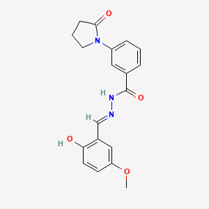 molecular formula C19H19N3O4 B3718383 N'-(2-hydroxy-5-methoxybenzylidene)-3-(2-oxo-1-pyrrolidinyl)benzohydrazide 