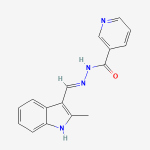 molecular formula C16H14N4O B3719366 N'-[(2-methyl-1H-indol-3-yl)methylene]nicotinohydrazide 