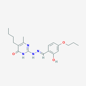 molecular formula C19H26N4O3 B3719513 2-hydroxy-4-propoxybenzaldehyde (5-butyl-4-hydroxy-6-methyl-2-pyrimidinyl)hydrazone 