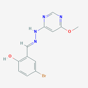 molecular formula C12H11BrN4O2 B3719519 5-bromo-2-hydroxybenzaldehyde (6-methoxy-4-pyrimidinyl)hydrazone 