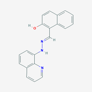 molecular formula C20H15N3O B3719941 2-hydroxy-1-naphthaldehyde 8-quinolinylhydrazone 