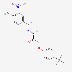 molecular formula C19H21N3O5 B3720059 2-(4-tert-butylphenoxy)-N'-(4-hydroxy-3-nitrobenzylidene)acetohydrazide 