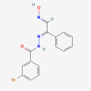 molecular formula C15H12BrN3O2 B3722887 3-bromo-N'-[2-(hydroxyimino)-1-phenylethylidene]benzohydrazide 